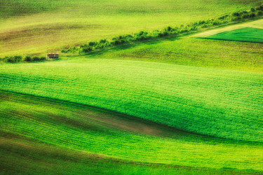 Similar image 21854454