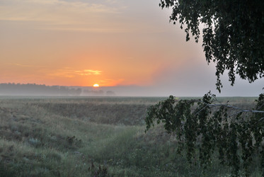 Similar image 21854055