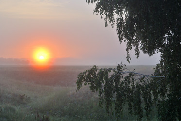 Similar image 21854057