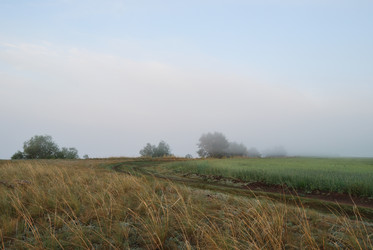 Similar image 21854064