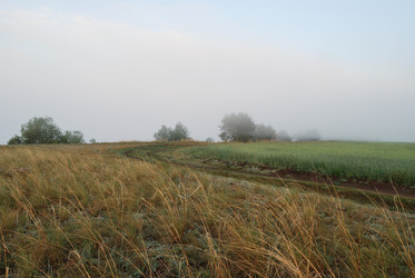 Similar image 21854067