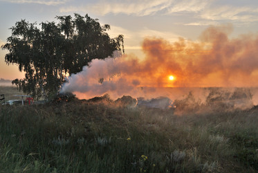 Similar image 21854116