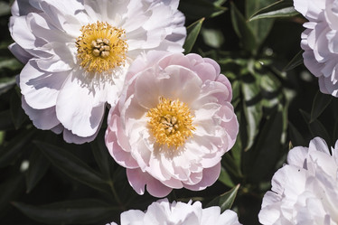 Similar image 21854220