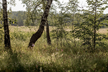 Similar image 21854226