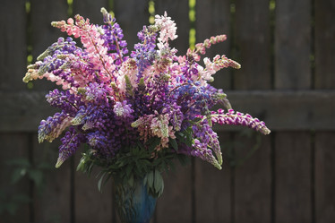 Similar image 21854229