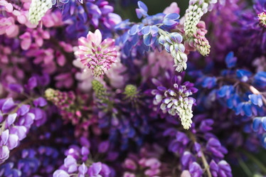 Similar image 21854233