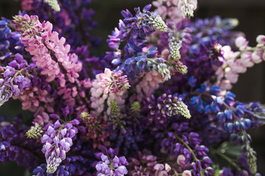 Similar image 21854235