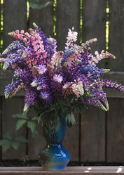 Similar image 21854237