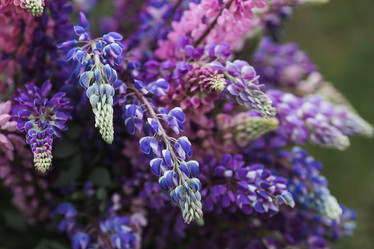 Similar image 21854243