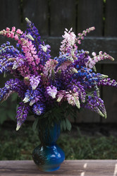 Similar image 21854247