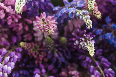 Similar image 21854249