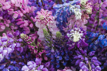 Similar image 21854253