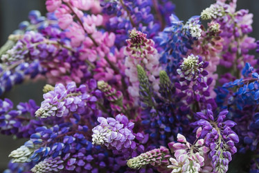 Similar image 21854255