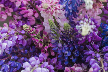 Similar image 21854261