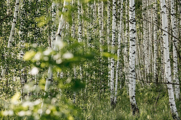 Similar image 21854262