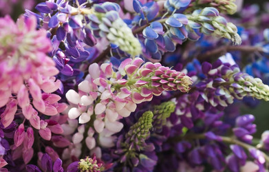 Similar image 21854263