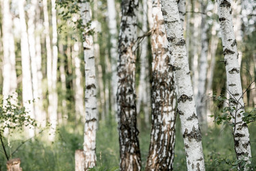 Similar image 21854264