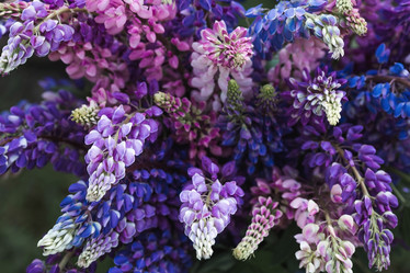 Similar image 21854265