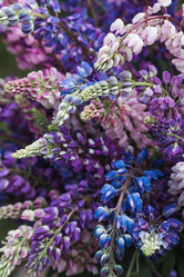 Similar image 21854267