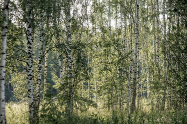 Similar image 21854268