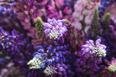 Similar image 21854269