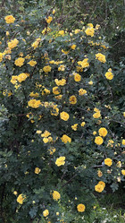 Similar image 21854074