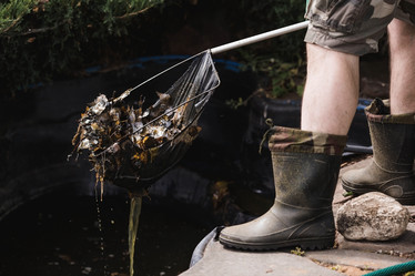 Similar image 21854270