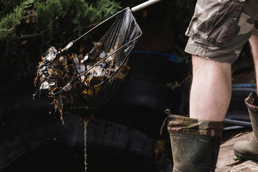 Similar image 21854271