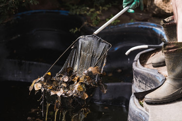 Similar image 21854272