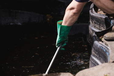 Similar image 21854273