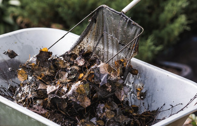 Similar image 21854274