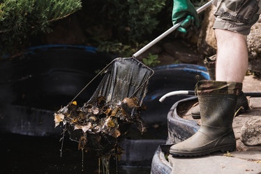 Similar image 21854275