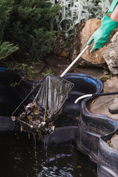 Similar image 21854276