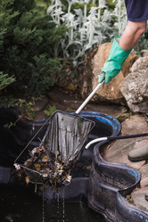 Similar image 21854277