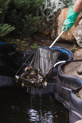 Similar image 21854278