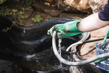 Similar image 21854279