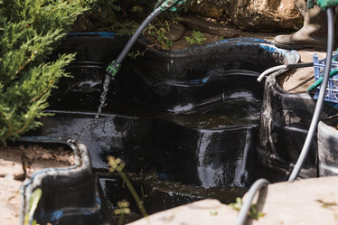 Similar image 21854281