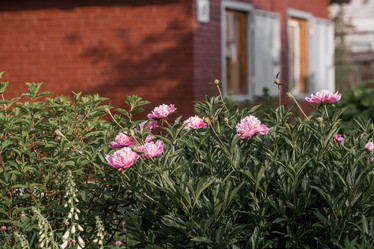 Similar image 21854283