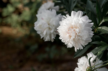 Similar image 21854286