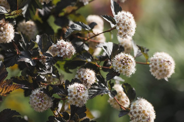 Similar image 21854289