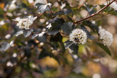 Similar image 21854290