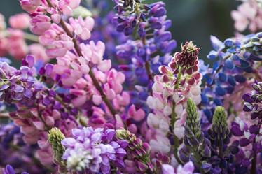 Similar image 21854292