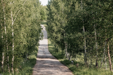 Similar image 21854293