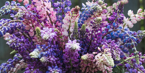 Similar image 21854294