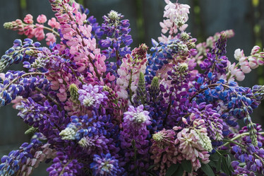 Similar image 21854296