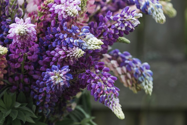 Similar image 21854298