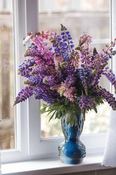 Similar image 21854302