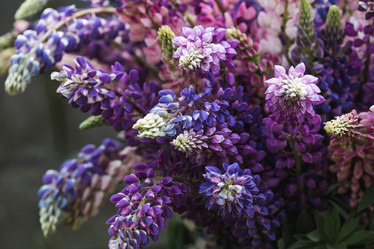 Similar image 21854304