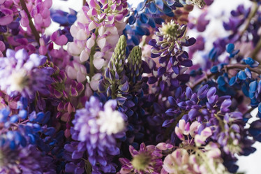 Similar image 21854306