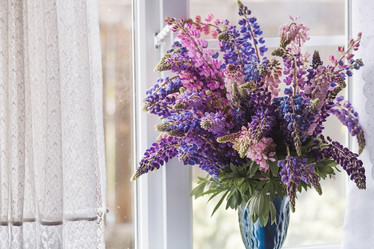 Similar image 21854308